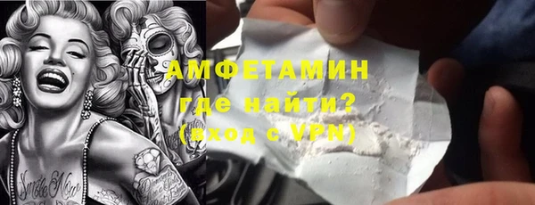 ГАЛЛЮЦИНОГЕННЫЕ ГРИБЫ Дмитриев