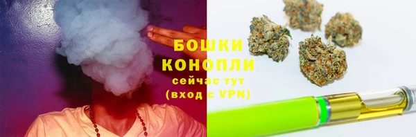 ГАЛЛЮЦИНОГЕННЫЕ ГРИБЫ Магадан